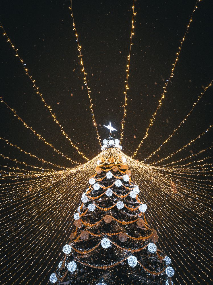 Photograph by Алексей Юдин