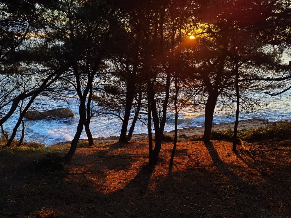 Photograph by Вячеслав Амерханов