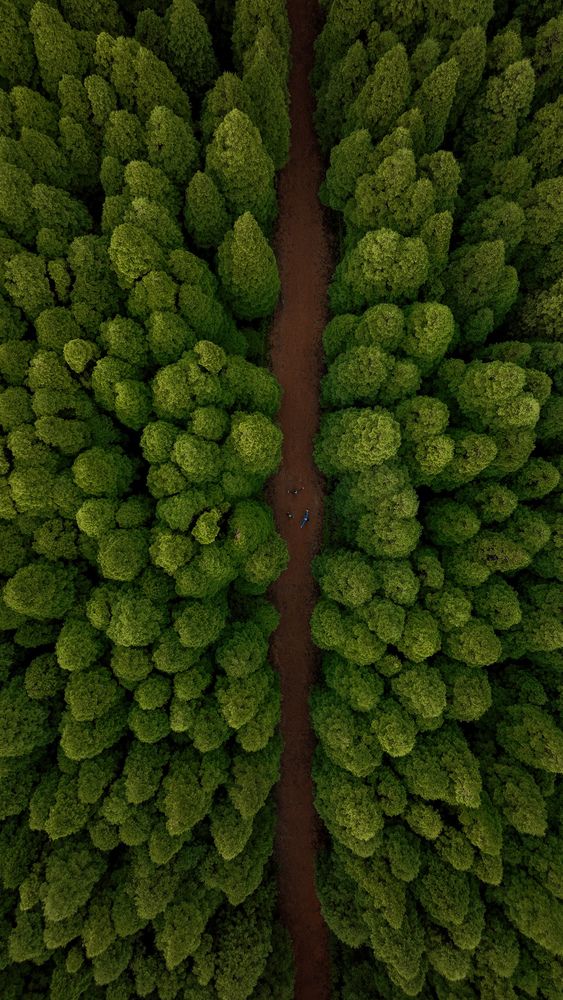 Azores
