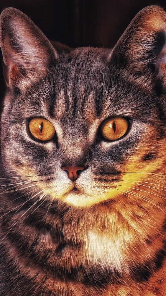 Photograph by Алена Самошина