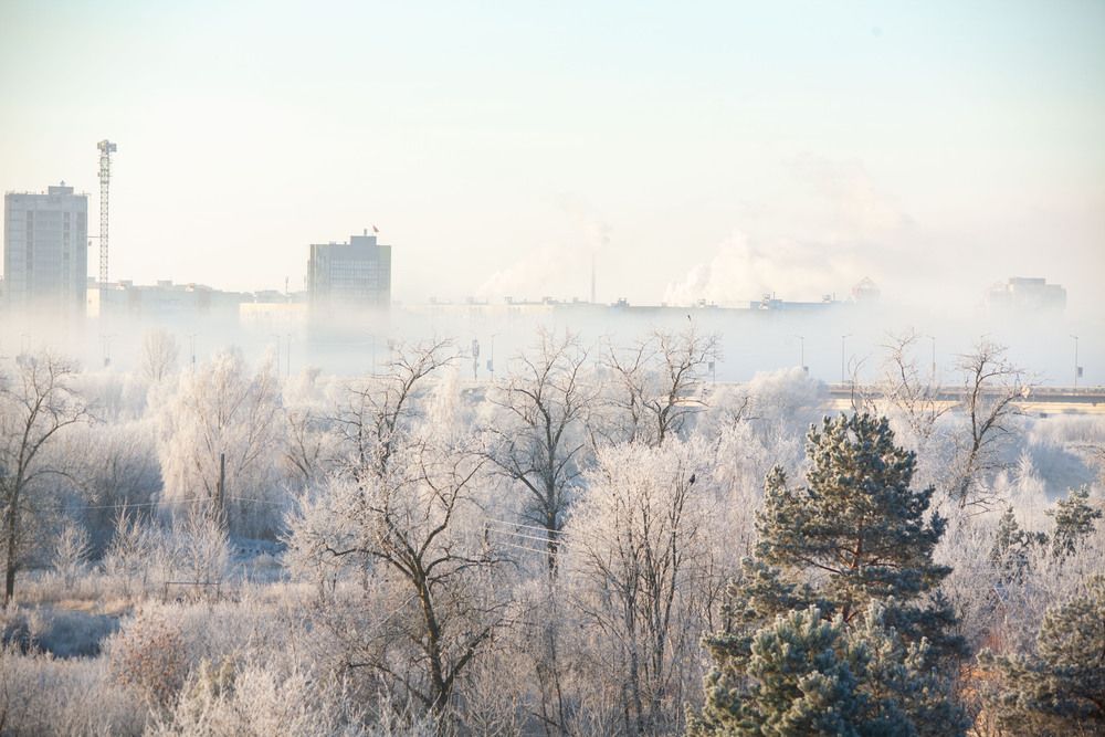 Фотография автора Алексей Борисов