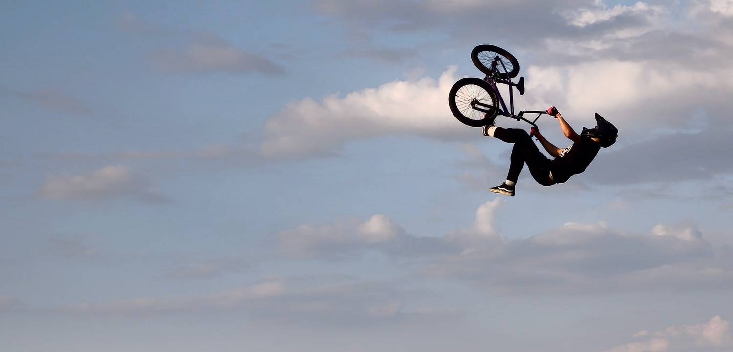 Le roi de la voltige