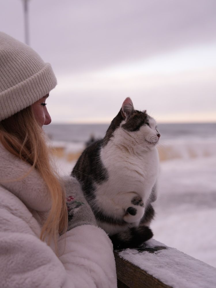 Photograph by Юлия Медведева