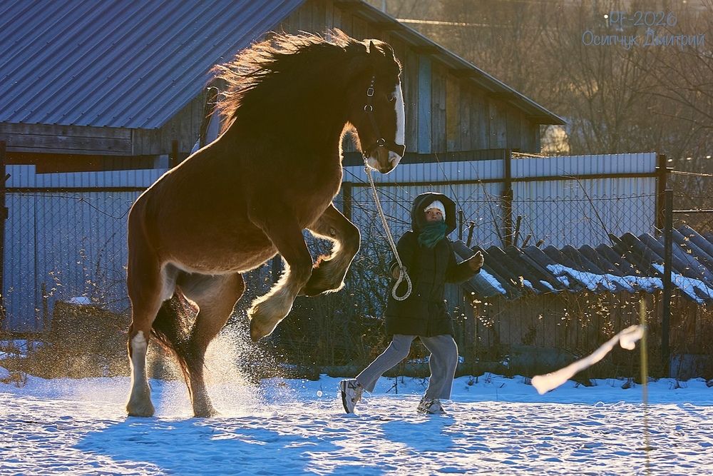 Photograph by Дмитрий Осипчук