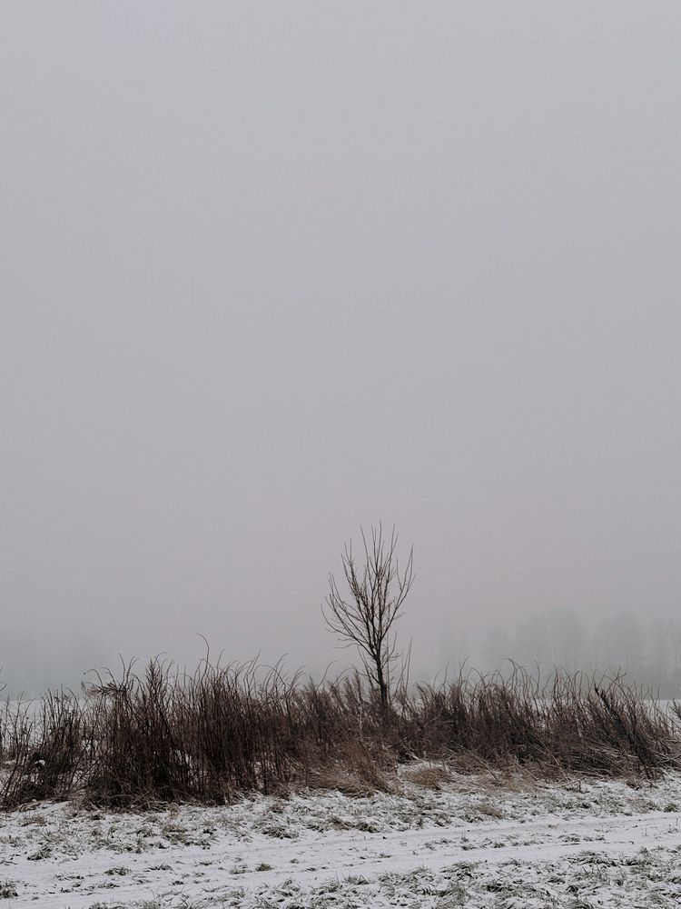 Фотография автора Елена Михалева