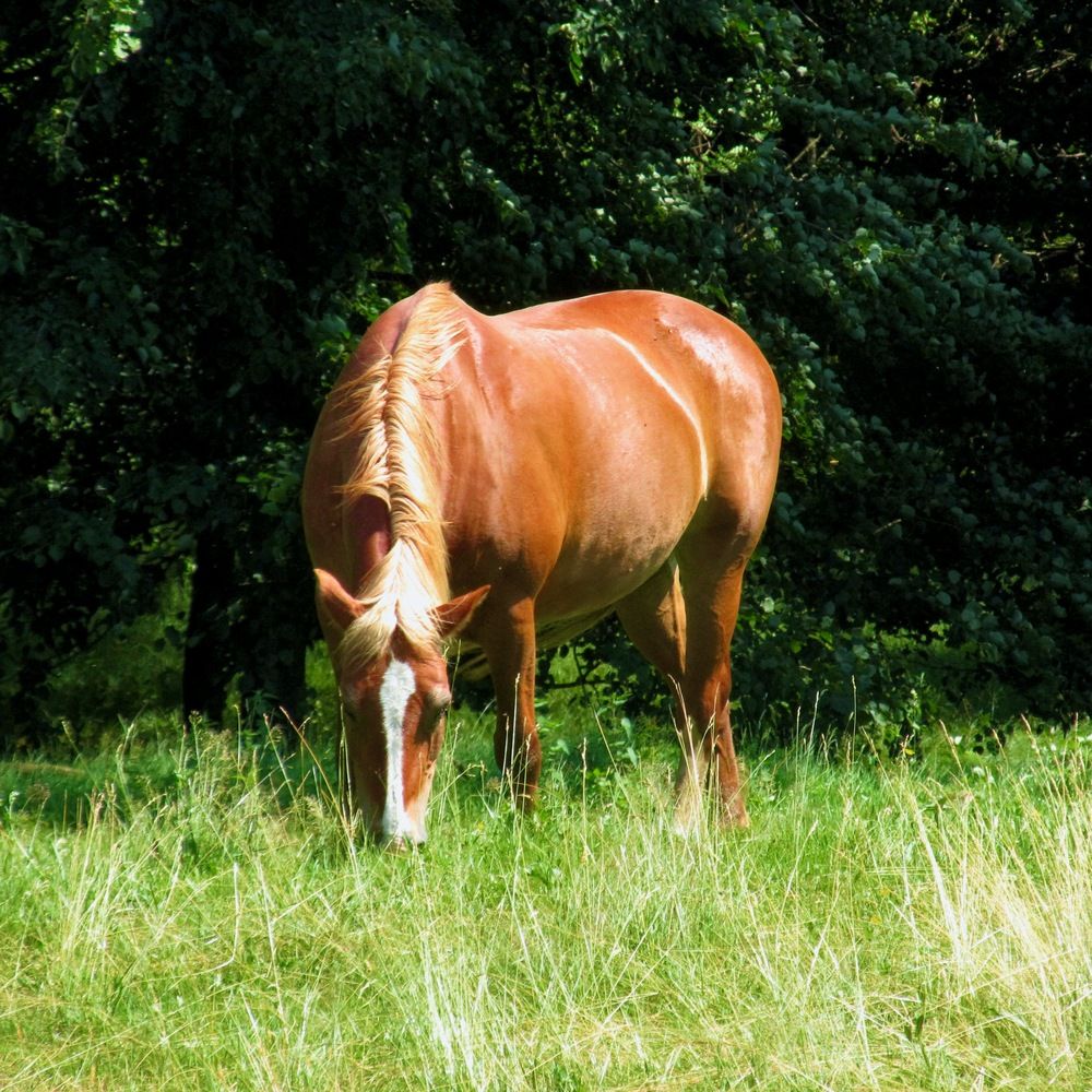 Photograph by Dario Meroni