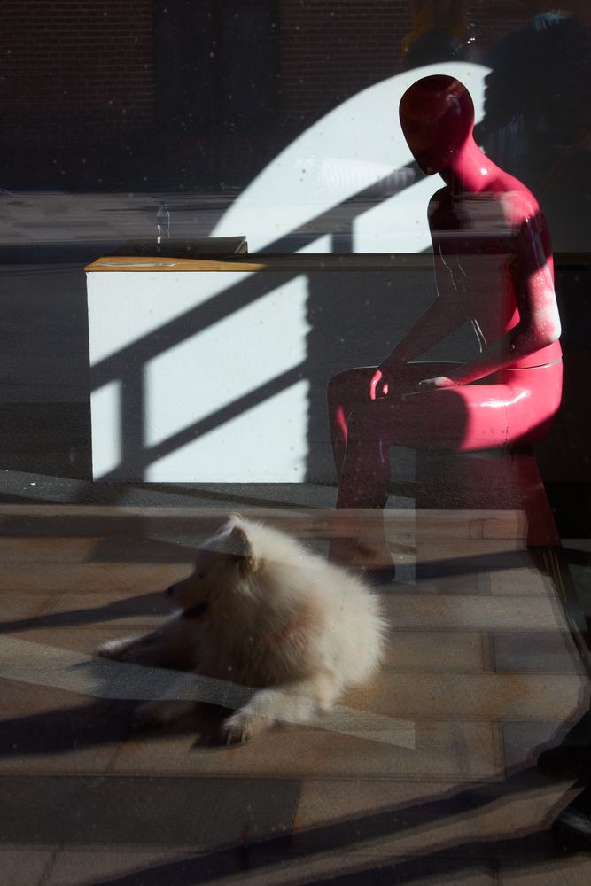 Photograph by Дмитрий Осипчук