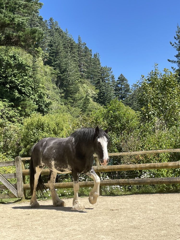 Photograph by Елена