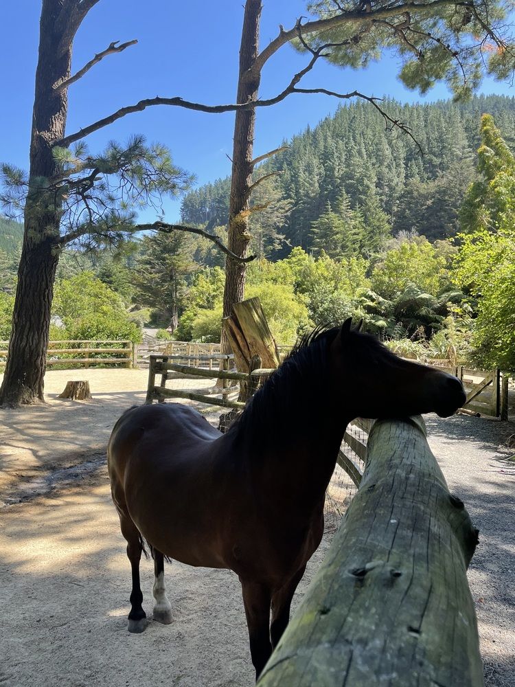 Photograph by Елена