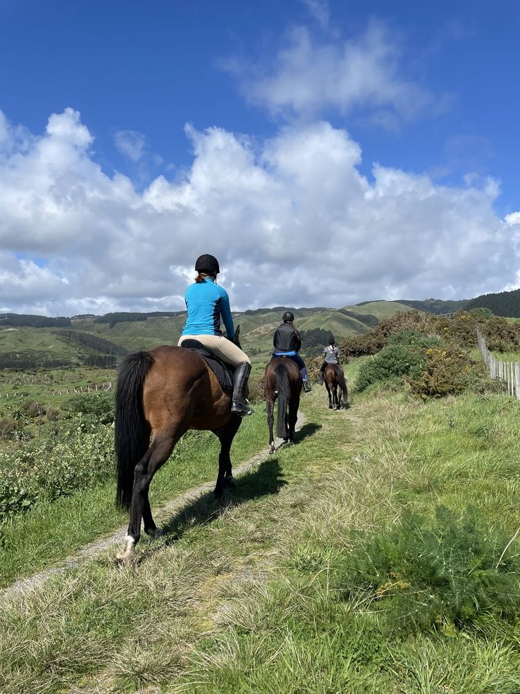 Photograph by Елена