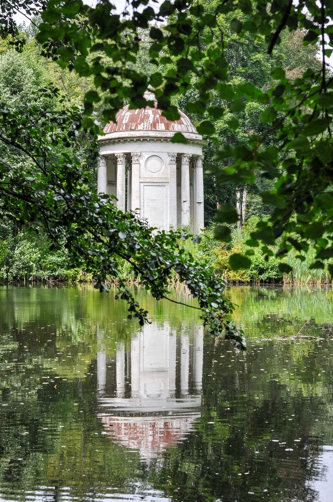 Фотография автора Елизавета Синицына