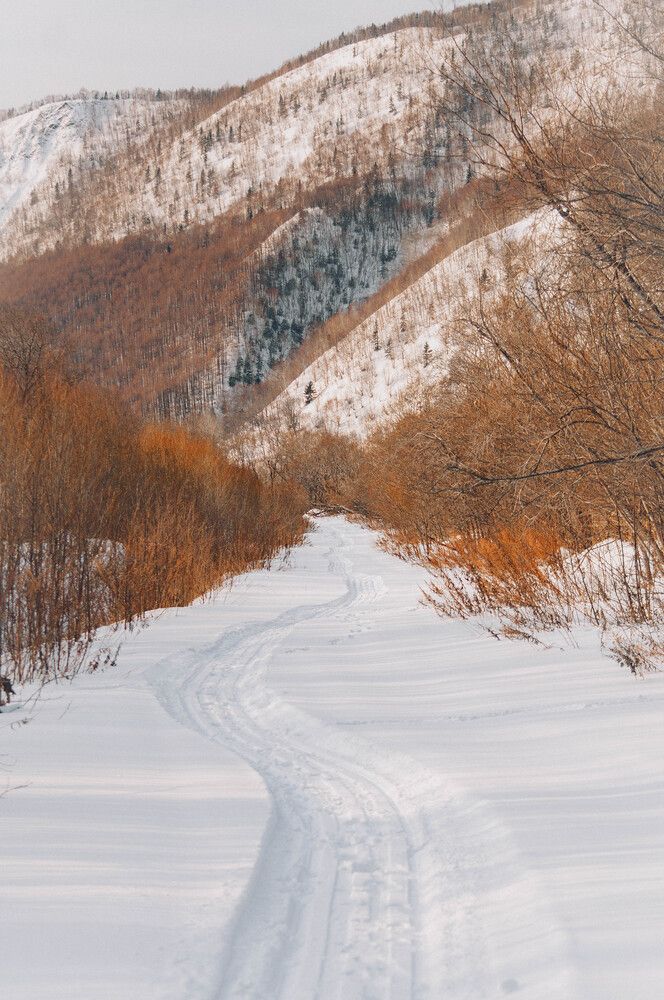 Photograph by Ольга Глущенко