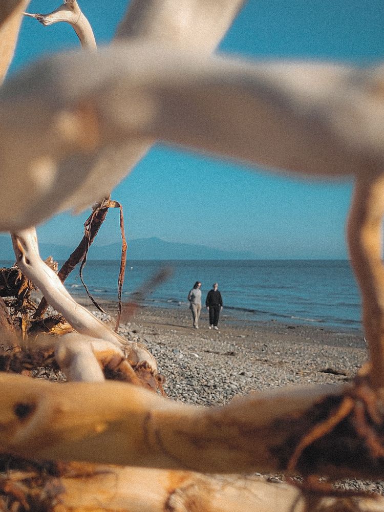 Photograph by Людмила Казакова