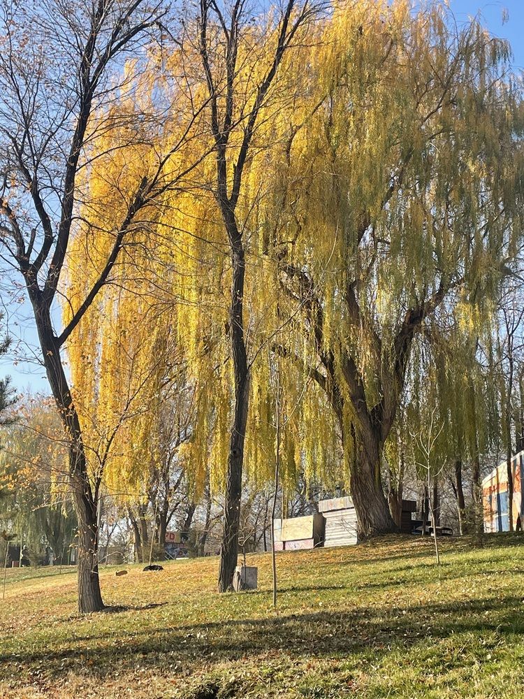 Photograph by Дарья Ларченко