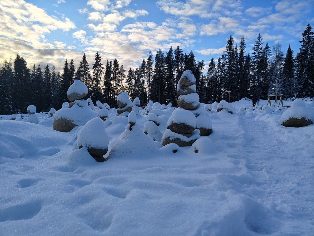 Photograph by Алексей Дерендяев