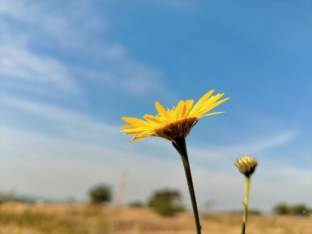 Hope