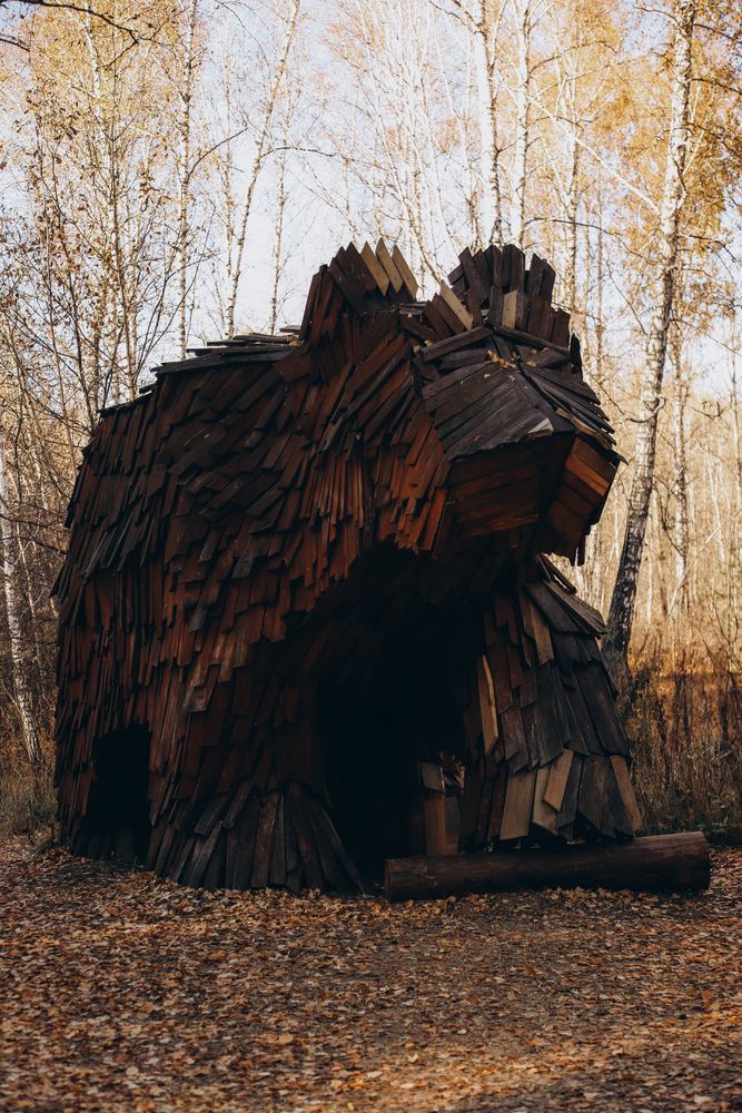 Photograph by Дарина Чечулина