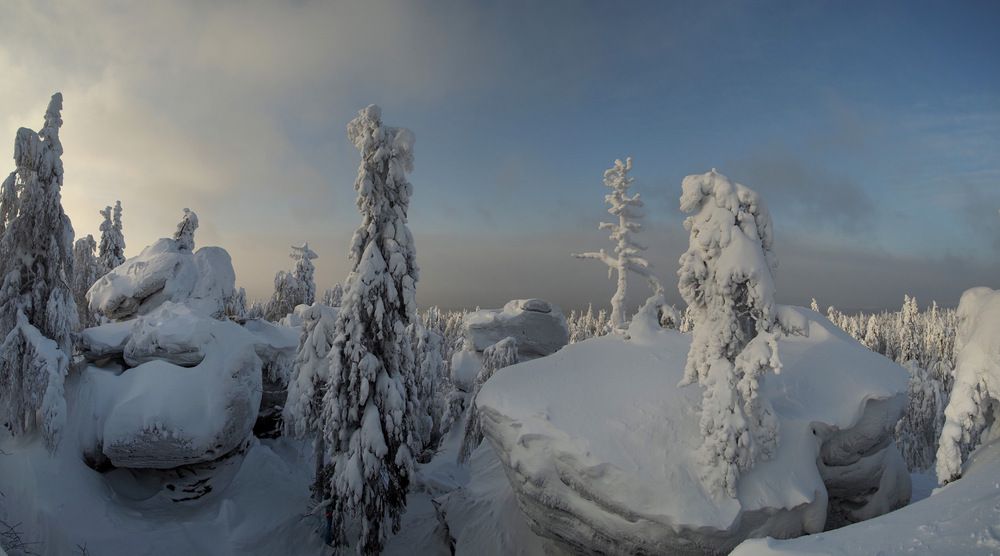 Photograph by Поляков Алексей