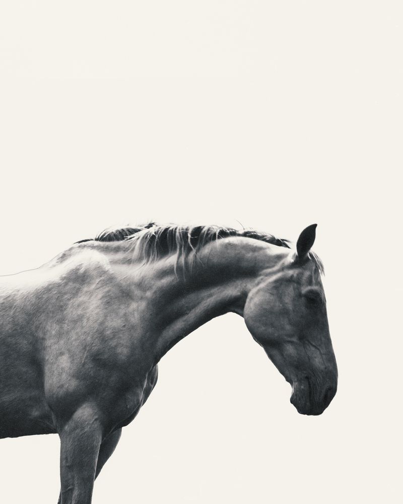 Photograph by Мурр Кристина