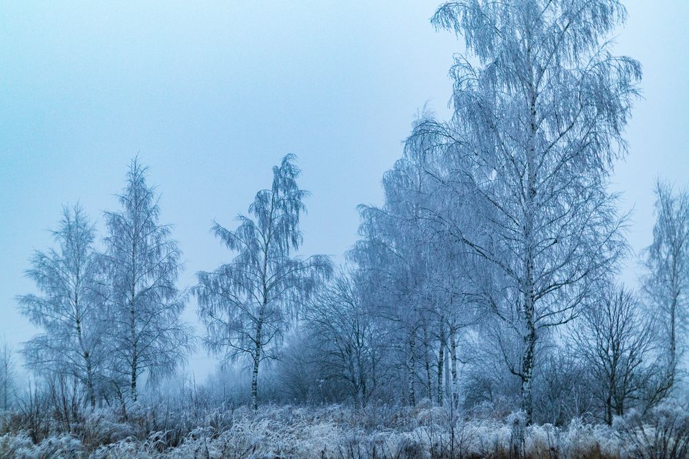 Фотография автора Aamoda Kitchen