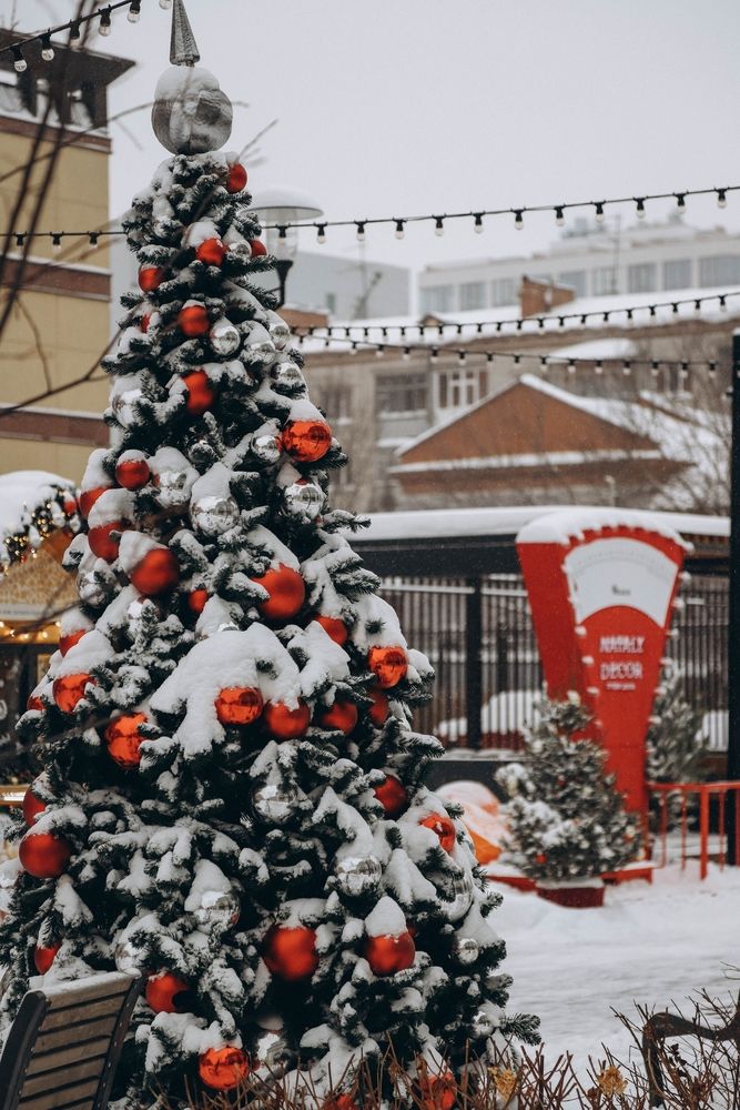 Photograph by Дарина Чечулина