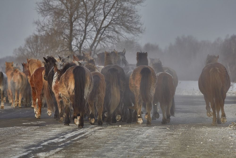 Фотография автора Наталия Мащенко