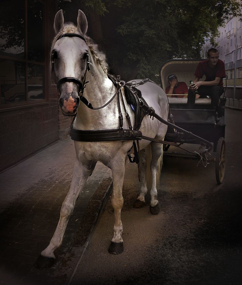 Фотография автора Валерий Алфимов