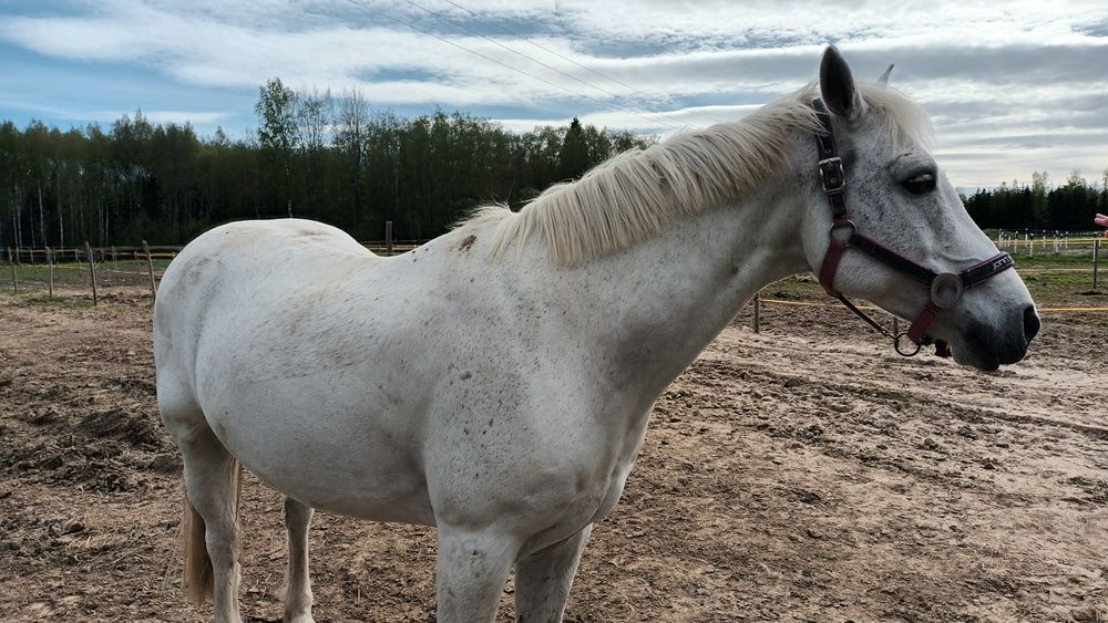 Photograph by Инна Демкив