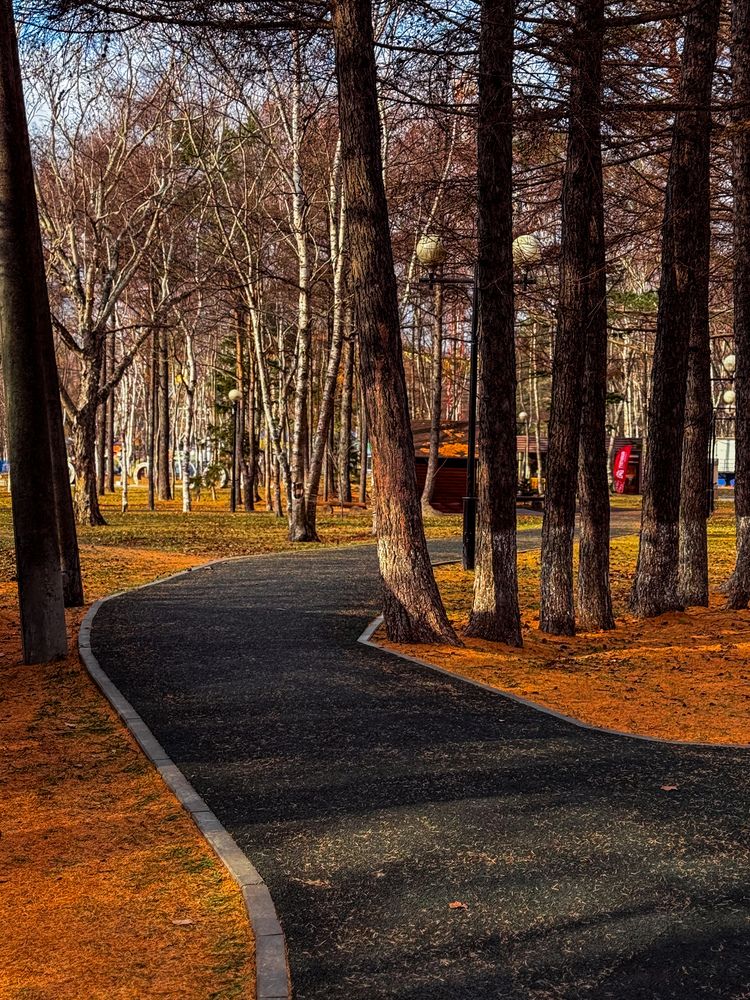 Фотография автора Елена Меньшикова