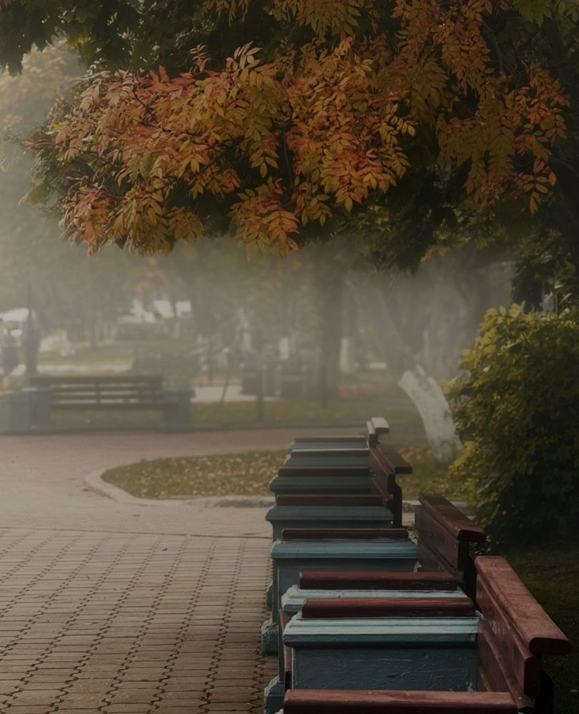 Фотография автора Елена Меньшикова