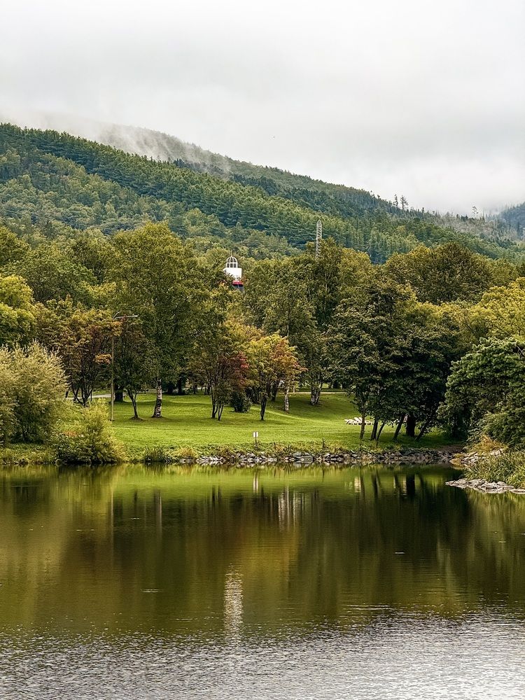 Фотография автора Елена Меньшикова