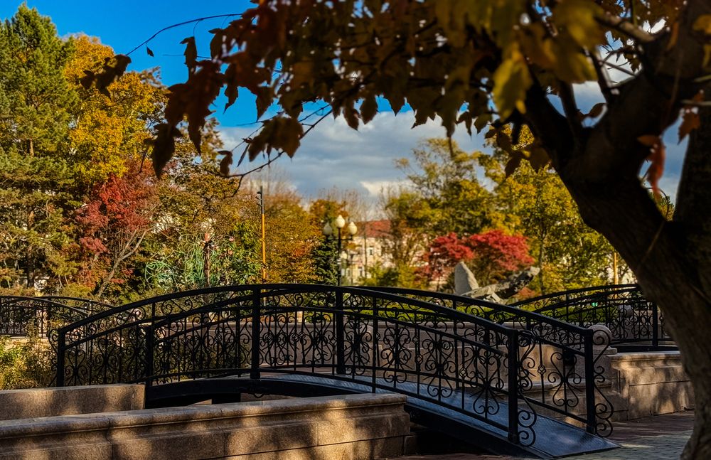 Фотография автора Елена Меньшикова