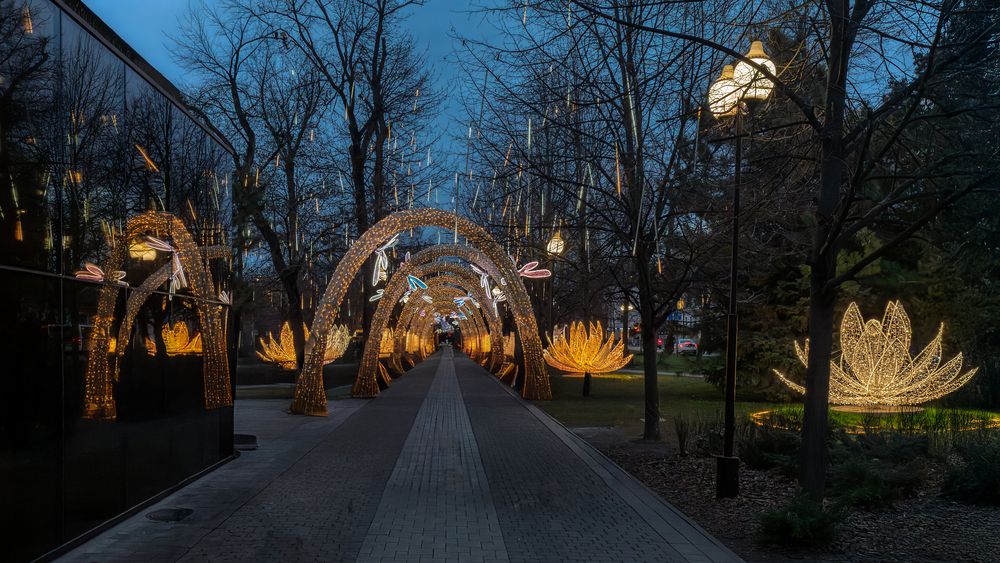 Photograph by Юрий Левко