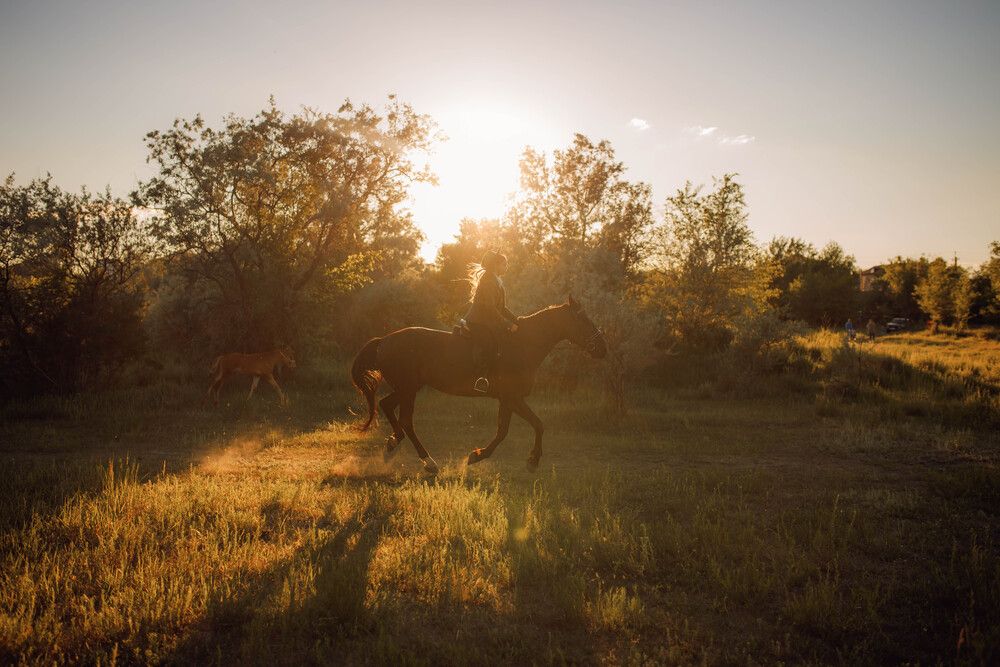 Фотография автора Анастасия Щербакова