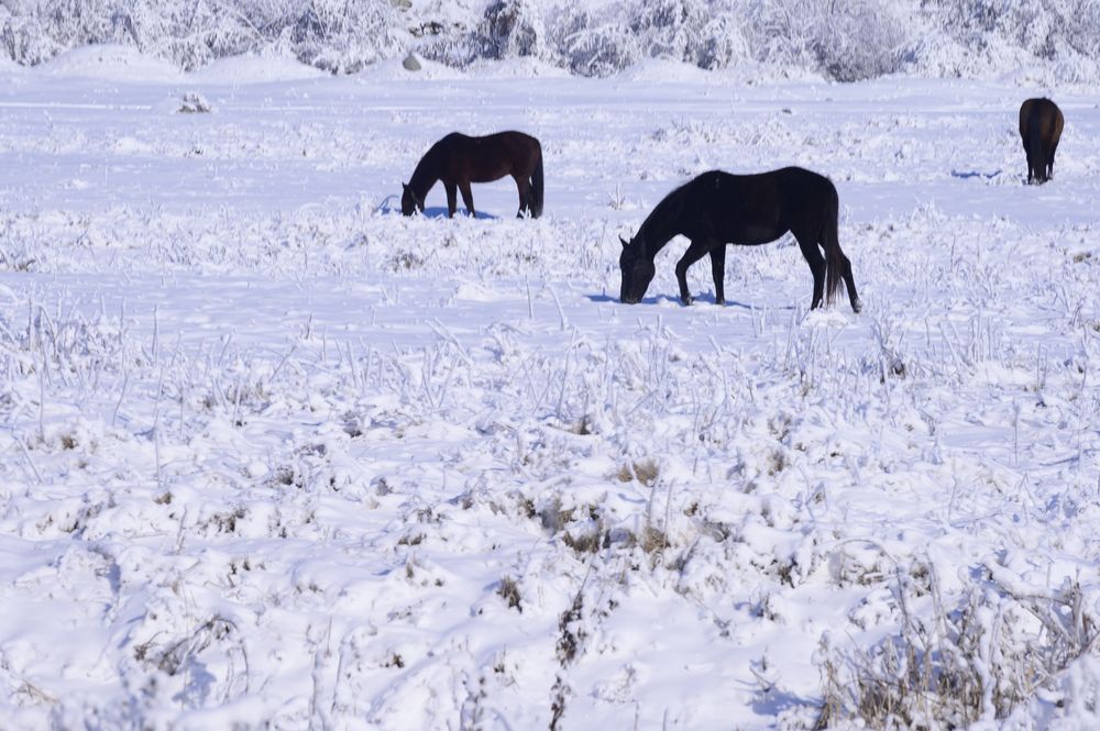 Photograph by Артем Алхимов