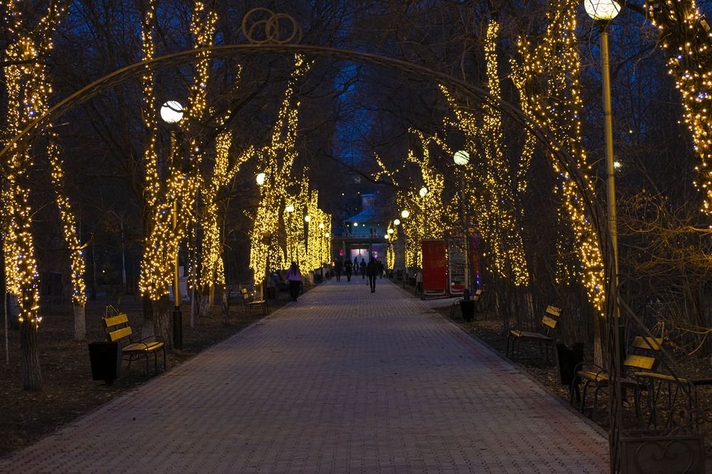 Светящаяся аллея парка