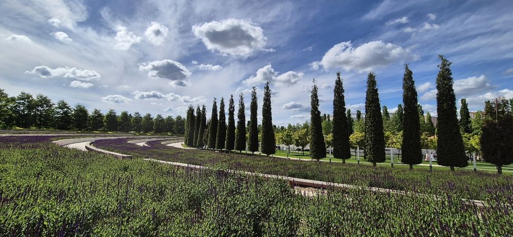 Фотография автора Ольга Мусина