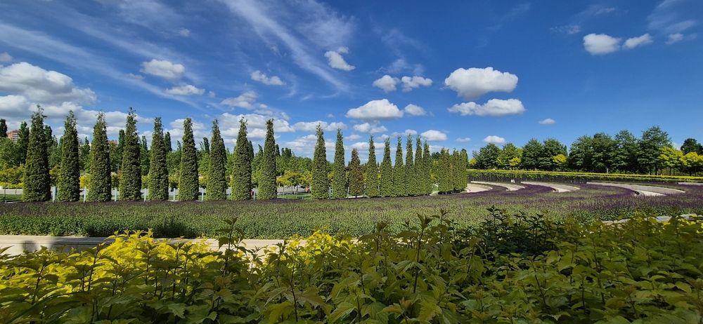 Фотография автора Ольга Мусина