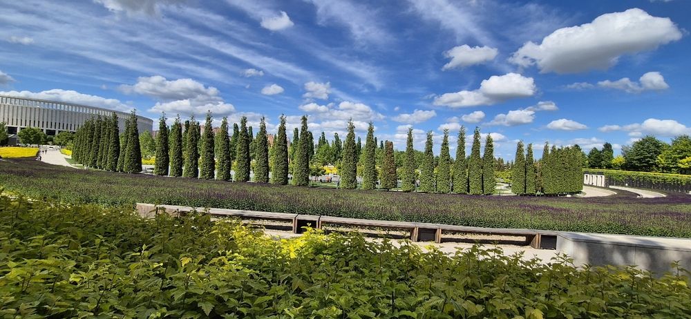 Фотография автора Ольга Мусина