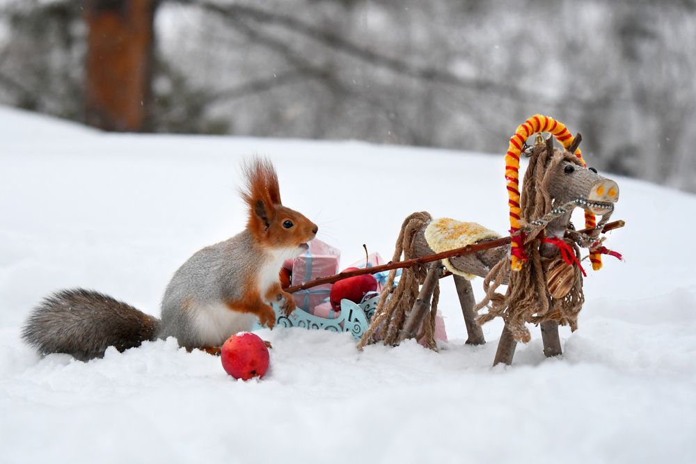 Чудеса, да и только!