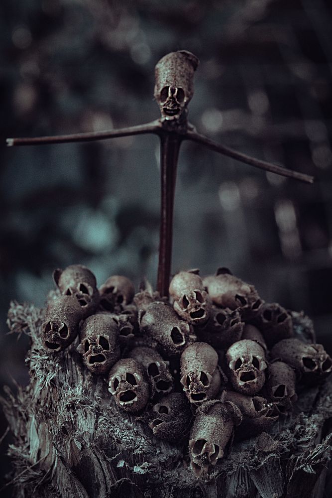 Фотография автора Victoria Mogulyan