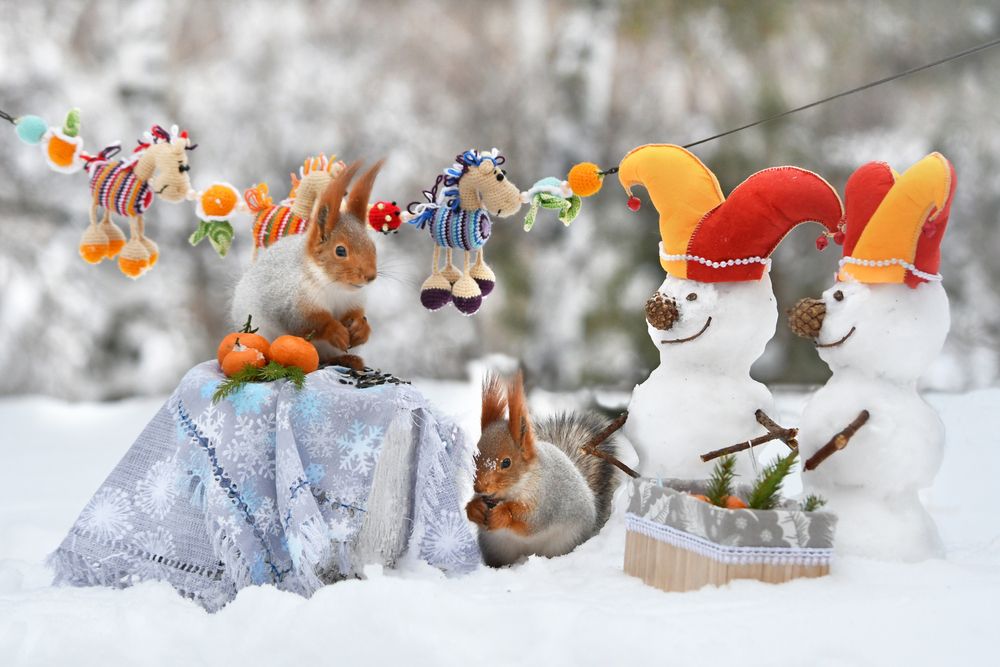 Скоморохи пришли в гости