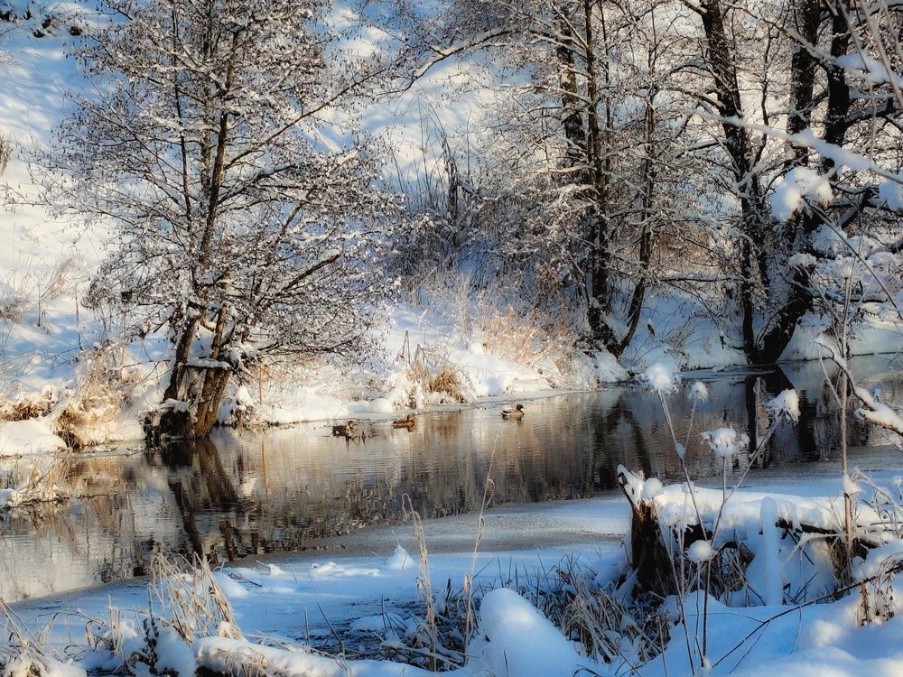 Photograph by Кондрашова Светлана