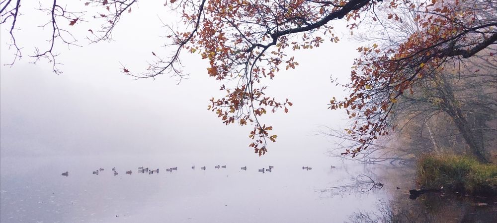 Photograph by Inna