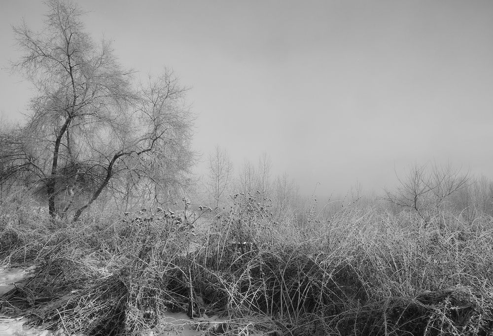 Photograph by Виктор Бабинцев