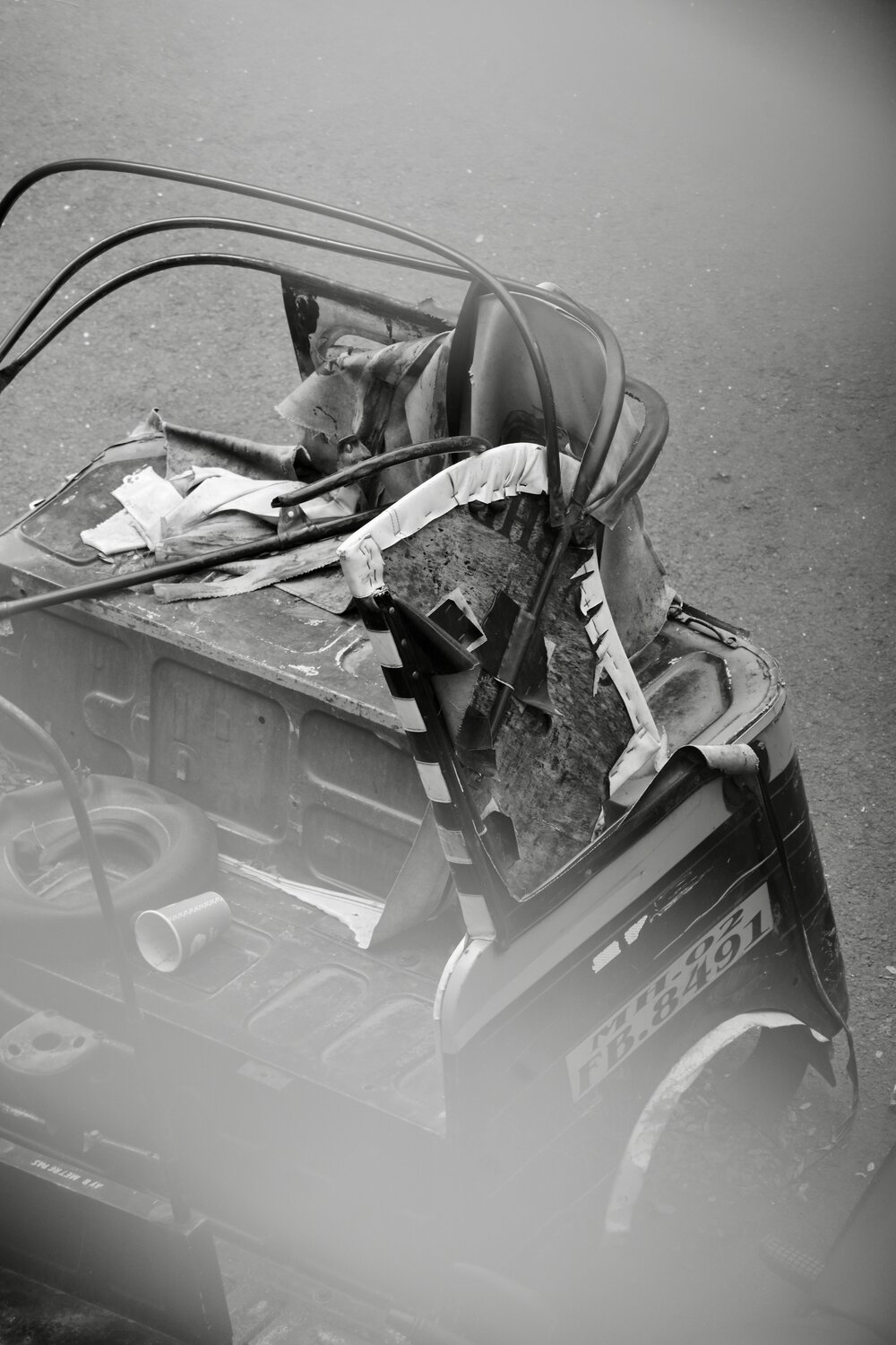 Photo #13072459