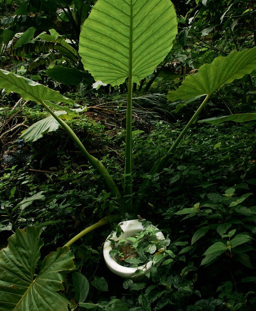 Фотография автора Виктор Бабинцев