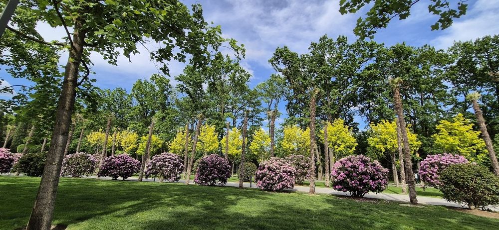 Фотография автора Ольга Мусина