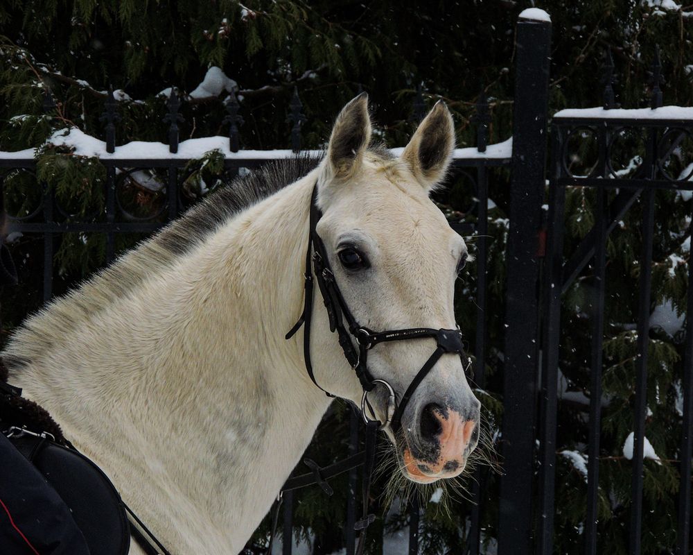 Photograph by Наталья Балабанова