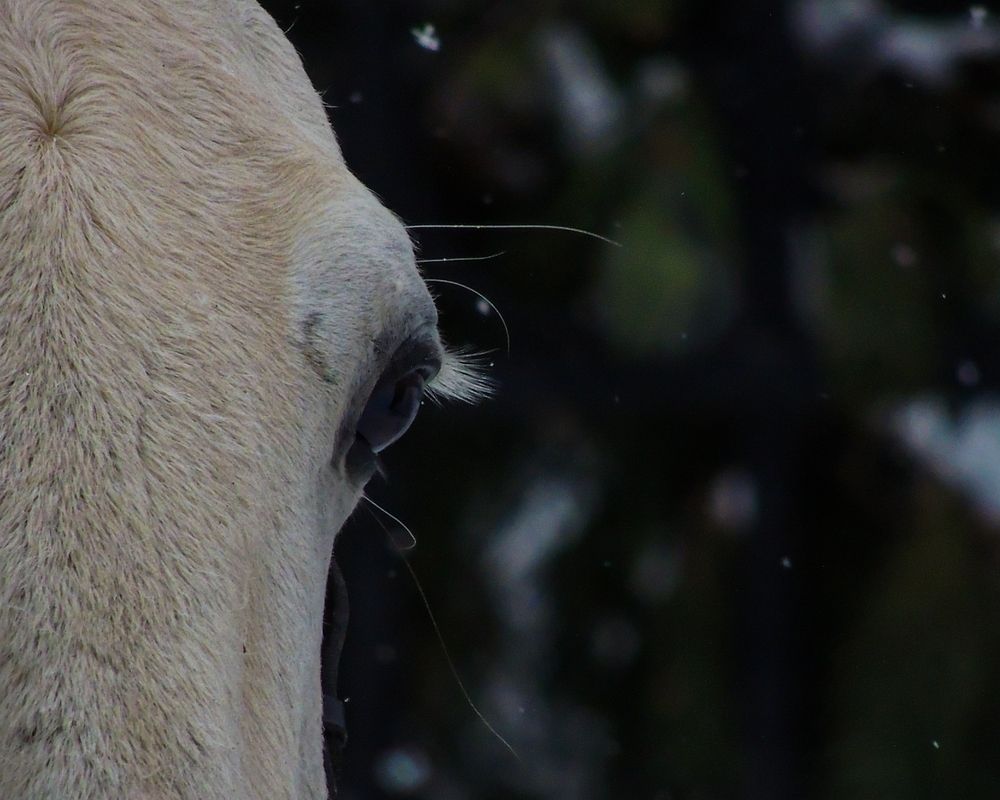 Photograph by Наталья Балабанова